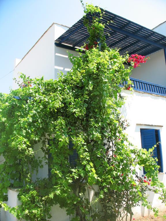 Mavromatis Studios Naxos City Zewnętrze zdjęcie